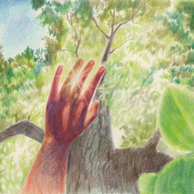 Kime Ait Bu Kökler?&nbsp;🌱